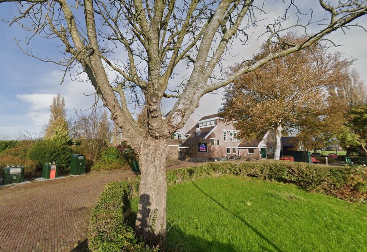 Herplanting van bomen op Marken